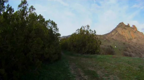 Couple in the wilderness Stock Footage 834730