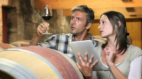 Couple of winemaker in cellar controlling wine quality Stock Footage 14834308