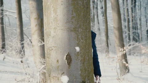 Couple in the winter forest Stock Footage 86645249