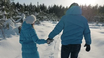 Couple Winter Snow Forest Walking Young Man And Woman Holding Hands slow Stock Footage 85517501