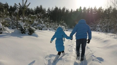 Couple Winter Snow Forest Walking Young Man And Woman Holding Hands Stock Footage 86570905