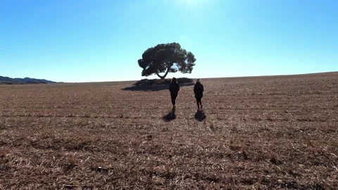 Couple of women walking through meadow in beautiful landscape Vídeos de archivo 145847341
