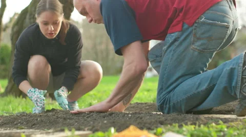 Couple Working Together on the Garden Stock Footage 62403140