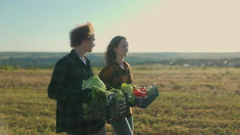 Couple of young farmers loading vegetabl... | Stock Video | Pond5