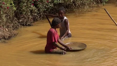 A couple of young Malagasy engage in practice of gold panning in the rive Stock Footage 313563514