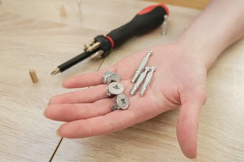 Coupler is eccentric on a woman's palm. Special furniture screws and screwdri Stock Photos