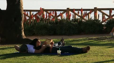 CoupleReadingUnderTree Ocean2 3595 Stock Footage 11232855