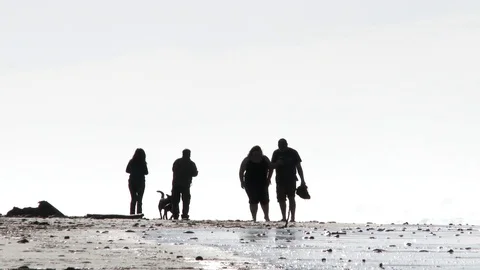 Couples At The Coast Stock Footage 72318364