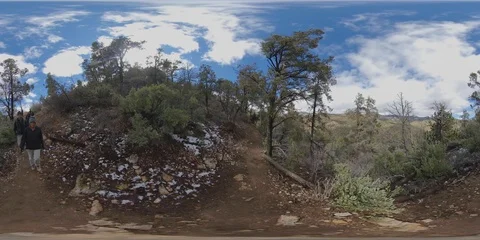 Couples Hiking Alpine Forest 360 VR Mt Charleston Wilderness Las Vegas 4K Stock Footage 126996942