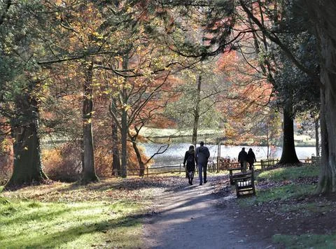 Couples in the park Stock Photos