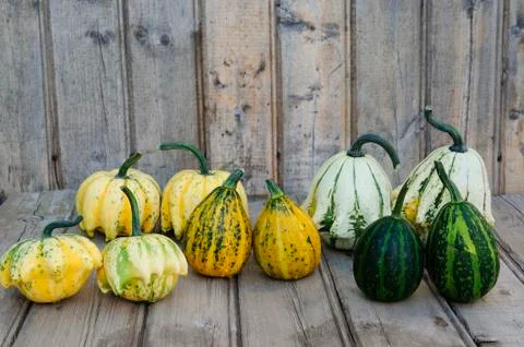 Couples Stock Photos