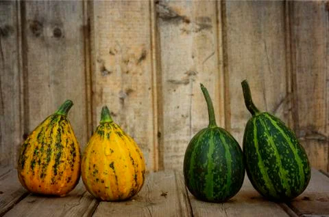 Couples Stock Photos