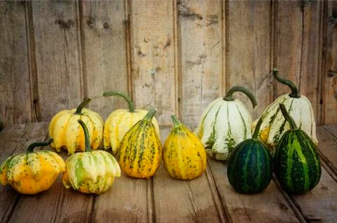 Couples Stock Photos