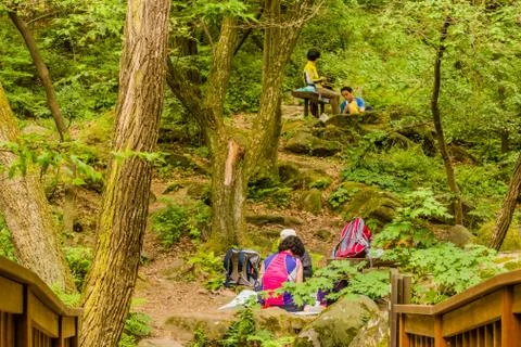 Couples relaxing under trees Stock Photos