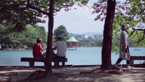 Couples sitting in park bench in sunny summer day Stock Footage 75677951