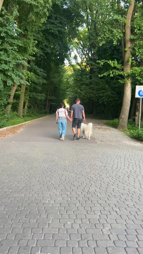 A couple's stroll with their samoyed dog along a park path. Vertical video. Video stock 317406880