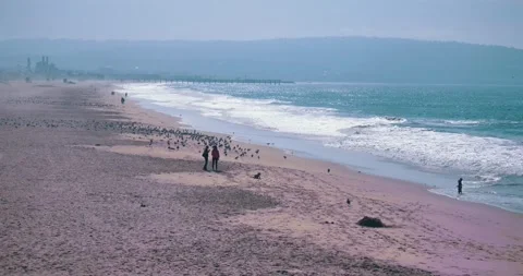 Couples walking on sandy beach with seagulls and ocean waves Stock Footage 339519936