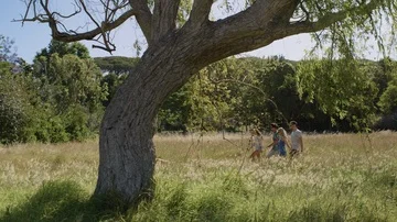 Couples walking through long grass field together Stock Footage 85651822