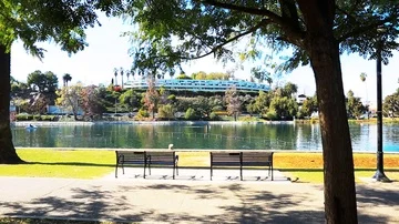 Couples walking through park Stock Footage 85488796
