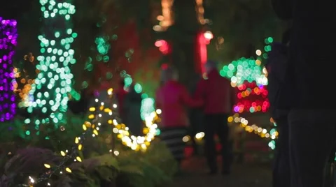 Couples walking through the van dusen garden lights Stock Footage 46358991