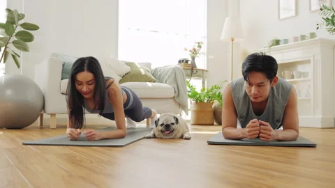 Couples workout session at home with a dog on a sunny afternoon in a cozy living Stock Footage 300018859
