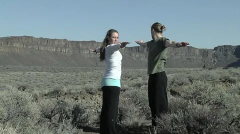 Couples Yoga Video stock 980772