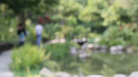 Couplewalkinpark HD Stock Footage 34970010