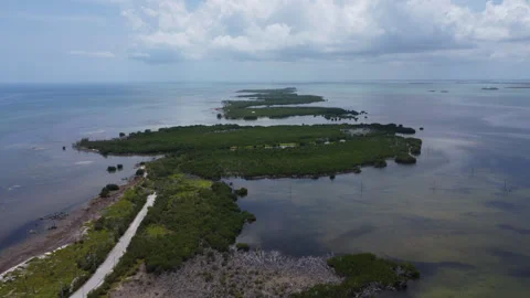 Coupon Bight Aquatic Preserve Static drone shot Stock Footage 343963795