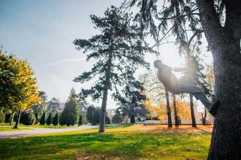 Courage guy exercising parkour on a tree Stock Photos