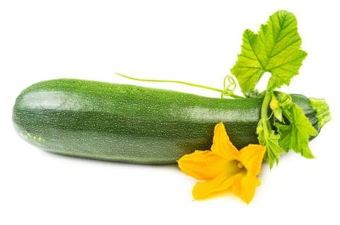 Courgette with blossoms isolated Stock Photos