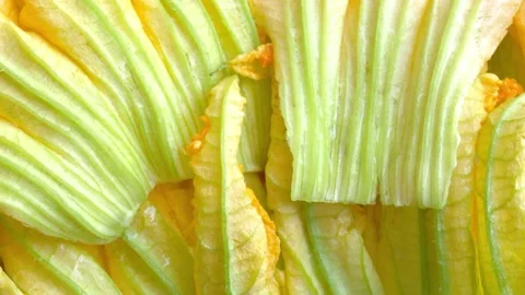 Courgette flowers Stock Footage 141805359