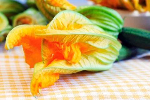 Courgette flowers Stock Photos