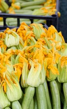 Courgette Foto stock