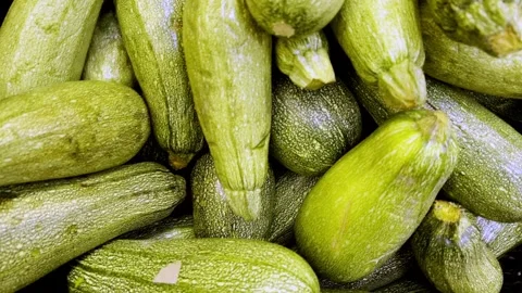Courgette summer squash zucchini vegetable baby marrow plant fruit fresh eco bio Stock Footage 296217169