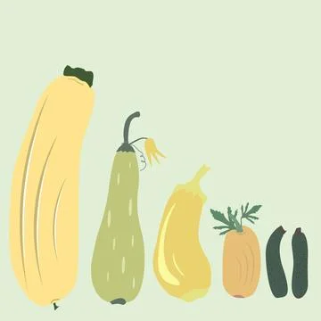 Courgettes Stock Illustration