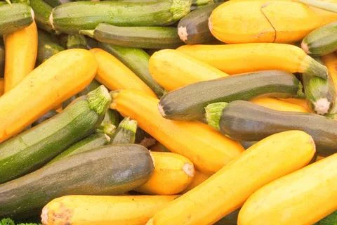 Courgettes Stock Photos