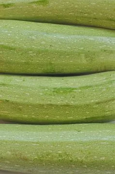 Courgettes zucchini Stock Photos