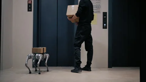 A courier and a robot dog with a parcel are waiting for the elevator Video stock 322946434