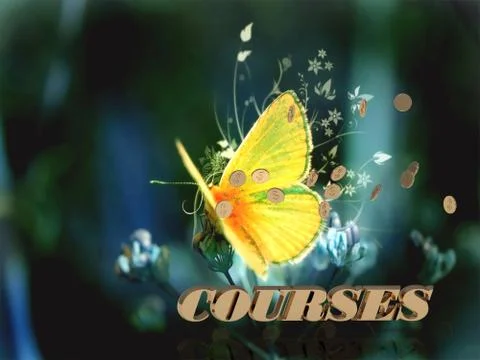 COURSE  Bright word, Bright beautiful moth or butterfly on fairy tale backgro Stock Illustration