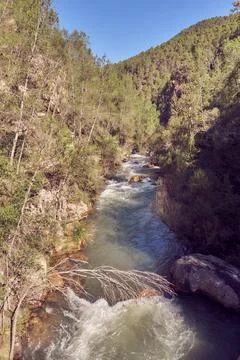 Course of a fast river between trees in the mountains with blue sky Stock Photos