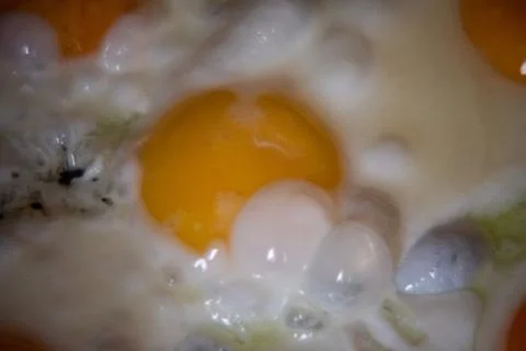 In the course of making breakfast with fresh eggs. Fried egg Stock Photos