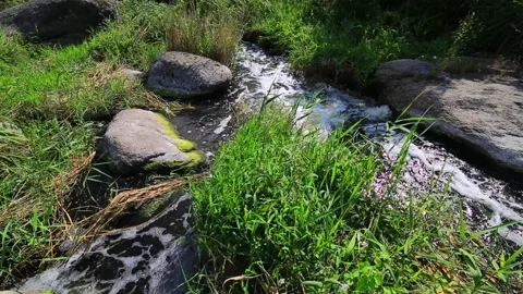 The course of a mountain river bed behind with stones and moss. Stock Footage 169822169