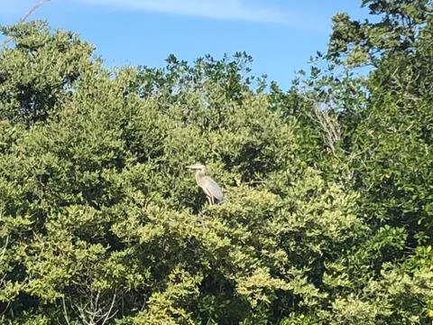 The course of the river 01 Stock Photos