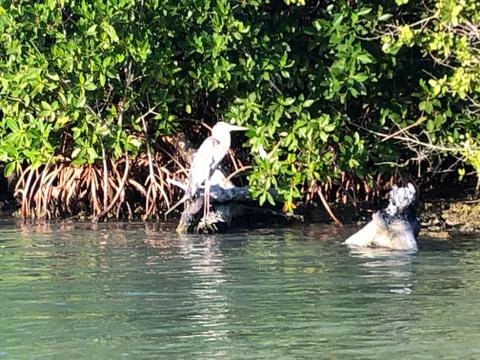 The course of the river 05 Foto stock