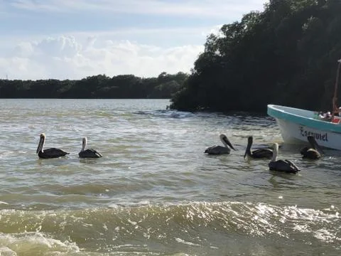 The course of the river 06 Stock Photos