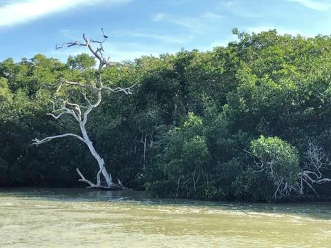 The course of the river 07 Foto stock