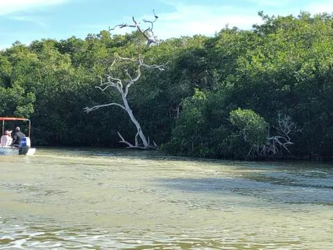 The course of the river 08 Stock Photos