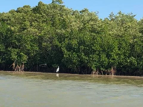 The course of the river 10 Stock Photos