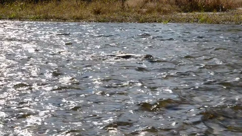 The course of the river with the current Stock Footage 100111211