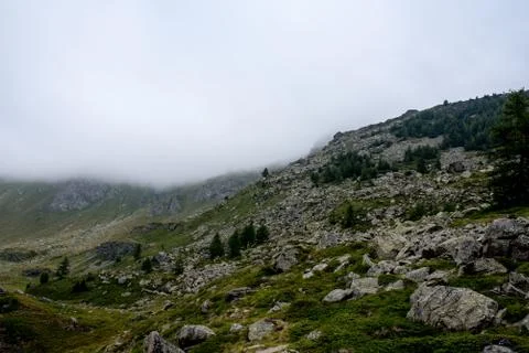Course of a river in a forest Stock Photos